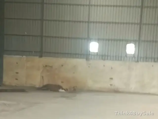2,500 sq.yd Factory for Rent in Meerut Road Industrial Area, Ghaziabad — photo 3