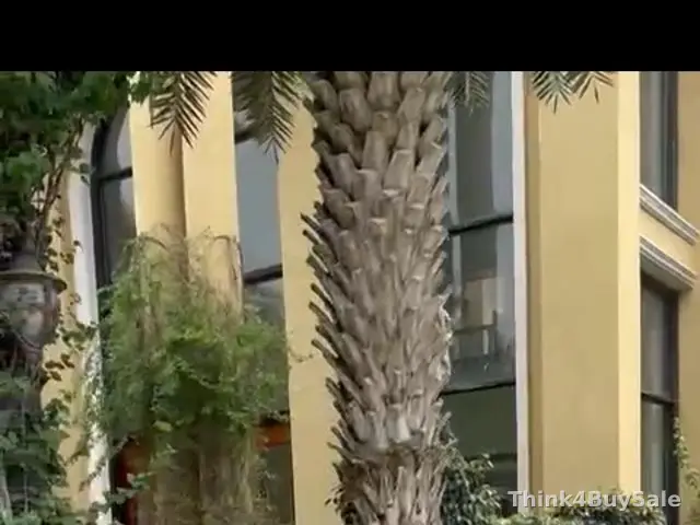 15 bigha Farmhouse Land for Sale in Sector 1, Greater Noida — photo 3